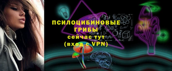 PSILOCYBIN Нея