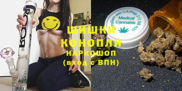 PSILOCYBIN Нея