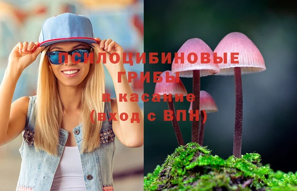 Альфа ПВП Нефтекумск