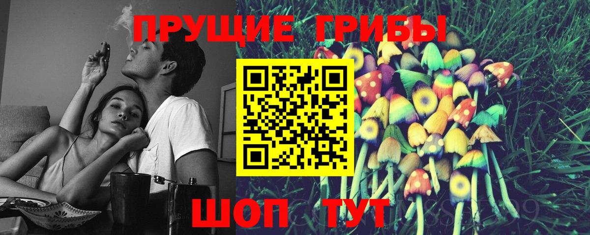 Галлюциногенные грибы Cubensis Апрелевка