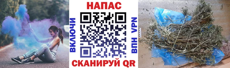 Шишки марихуана сатива  Апрелевка 